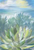 Agave Seaview